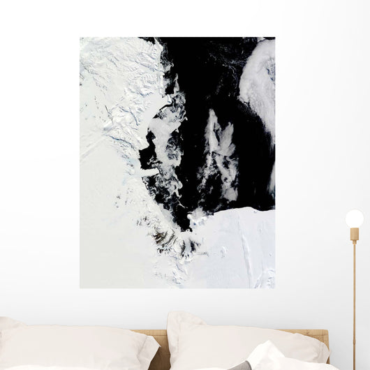 January 18 2010 Ross Wall Decal