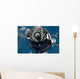 Soyuz Tma-17 Spacecraft Wall Decal