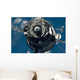 Soyuz Tma-17 Spacecraft Wall Decal