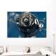 Soyuz Tma-17 Spacecraft Wall Decal