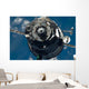 Soyuz Tma-17 Spacecraft Wall Decal