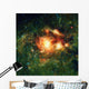 Ngc 3603 Hot Young Wall Decal