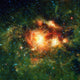 Ngc 3603 Hot Young Wall Decal