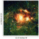 Ngc 3603 Hot Young Wall Decal