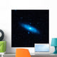 Andromeda Galaxy's Older Stellar Wall Decal