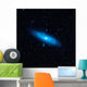 Andromeda Galaxy's Older Stellar Wall Decal