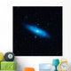 Andromeda Galaxy's Older Stellar Wall Decal