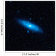 Andromeda Galaxy's Older Stellar Wall Decal
