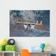 International Space Station Backdropped Wall Decal Design 7
