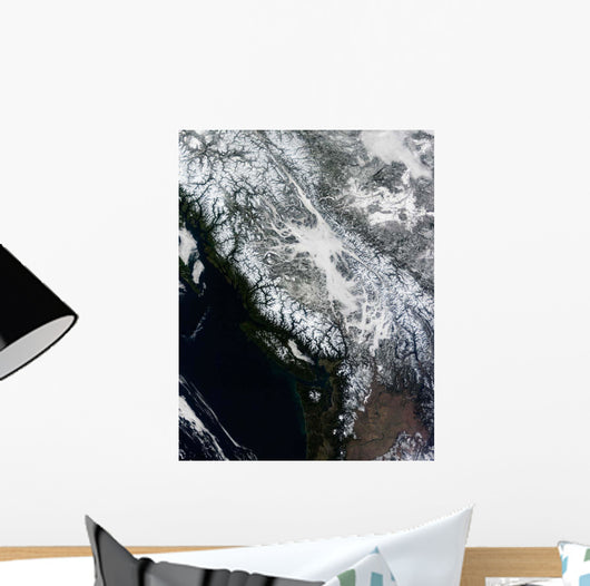 Fog and Snow British Wall Decal
