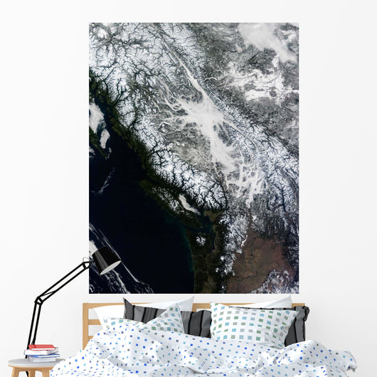 Fog and Snow British Wall Decal