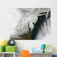 Severe Winter Storm along Wall Decal