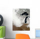 True-color Image Snow Stretching Wall Decal