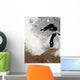 True-color Image Snow Stretching Wall Decal