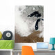 True-color Image Snow Stretching Wall Decal