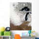 True-color Image Snow Stretching Wall Decal