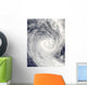 Tropical Cyclone Oli off Wall Decal
