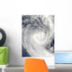 Tropical Cyclone Oli off Wall Decal