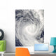 Tropical Cyclone Oli off Wall Decal