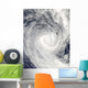 Tropical Cyclone Oli off Wall Decal