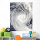 Tropical Cyclone Oli off Wall Decal