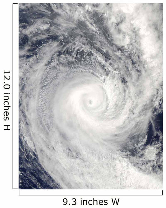 Tropical Cyclone Oli off Wall Decal