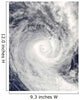 Tropical Cyclone Oli off Wall Decal