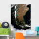 Chile and Patagonian Region Wall Decal