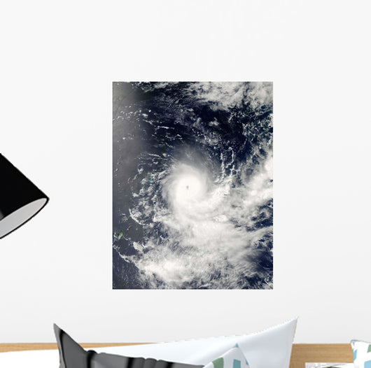 Tropical Cyclone Gelane Wall Decal