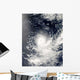 Tropical Cyclone Gelane Wall Decal