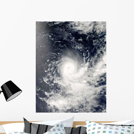 Tropical Cyclone Gelane Wall Decal
