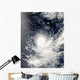 Tropical Cyclone Gelane Wall Decal