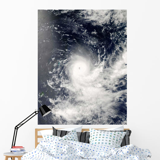 Tropical Cyclone Gelane Wall Decal