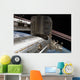 Japanese Kibo Complex Wall Decal