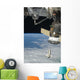 Space Shuttle Endeavour Soyuz Wall Decal