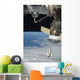 Space Shuttle Endeavour Soyuz Wall Decal