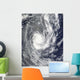Tropical Cyclone Pat over Wall Decal