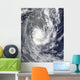 Tropical Cyclone Pat over Wall Decal