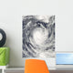 Cyclone Rene over South Wall Decal