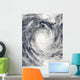 Cyclone Rene over South Wall Decal