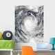Cyclone Rene over South Wall Decal