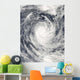 Cyclone Rene over South Wall Decal