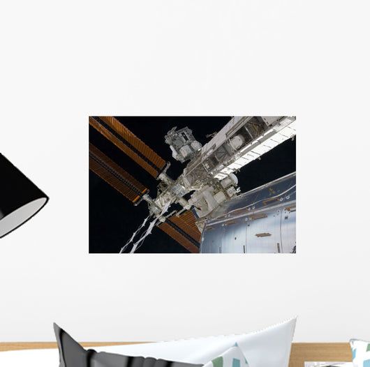 Portion International Space Station Wall Decal Design 1