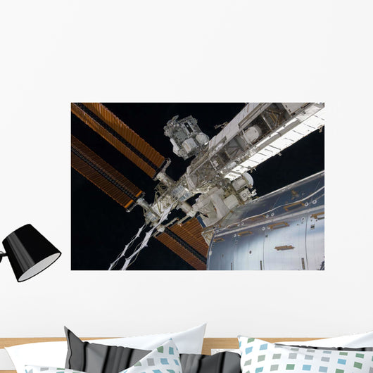 Portion International Space Station Wall Decal Design 1