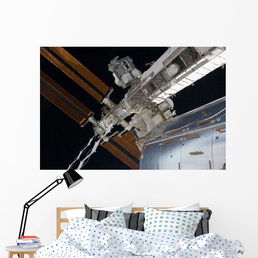 Portion International Space Station Wall Decal Design 1
