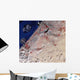 False-color Image Part Dubai Wall Decal