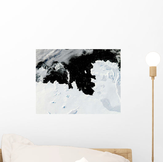 Pine Island Bay West Wall Decal