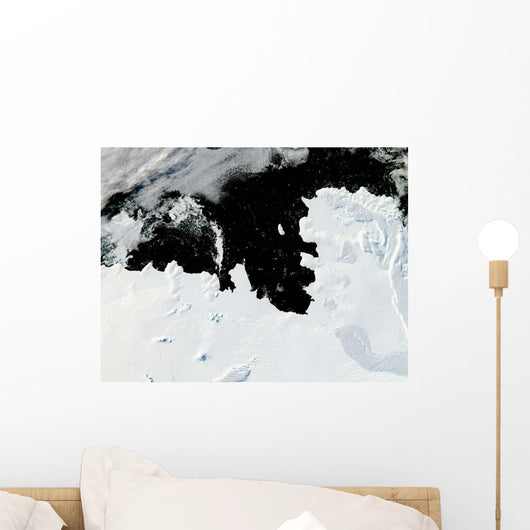 Pine Island Bay West Wall Decal