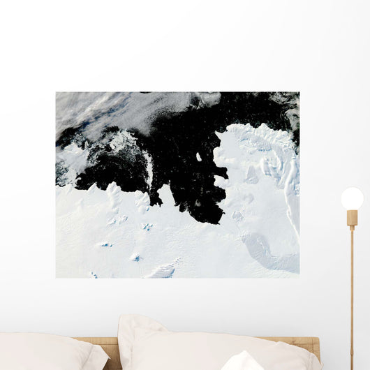 Pine Island Bay West Wall Decal