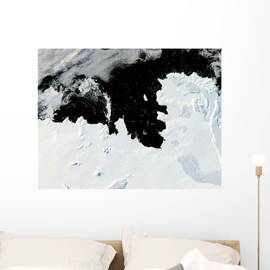 Pine Island Bay West Wall Decal